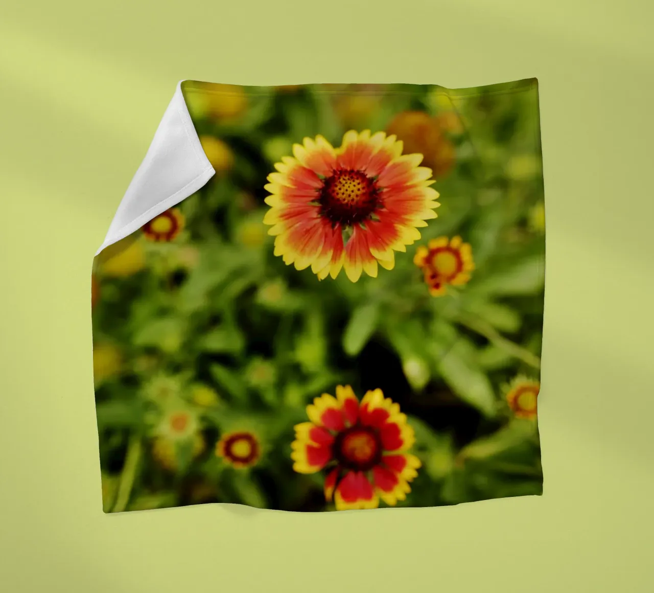 fiore d'arancio, Monaco di Baviera coperta in pile da art picture
