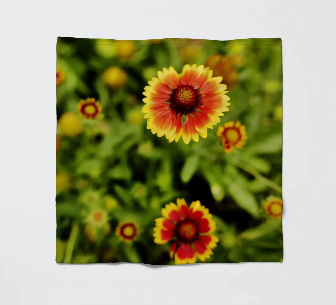 fiore d'arancio, Monaco di Baviera coperta in pile da art picture
