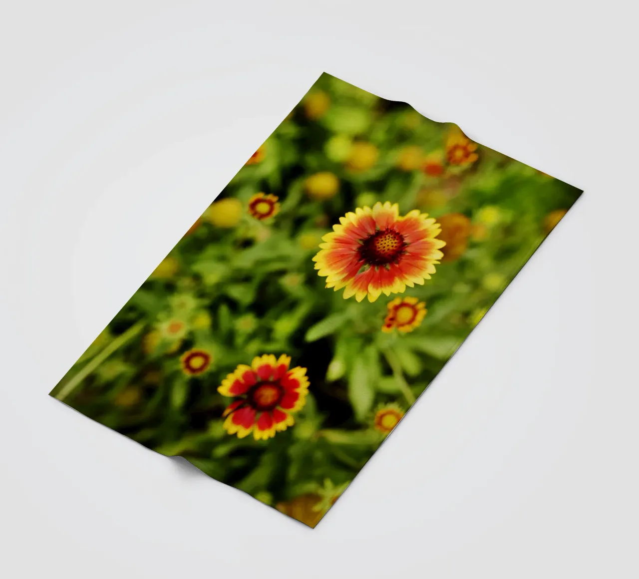 fiore d'arancio, Monaco di Baviera coperta in pile da art picture