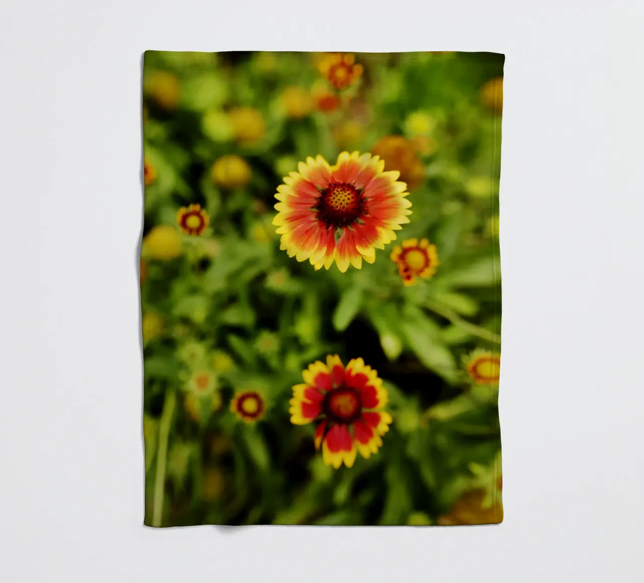 fiore d'arancio, Monaco di Baviera coperta in pile da art picture
