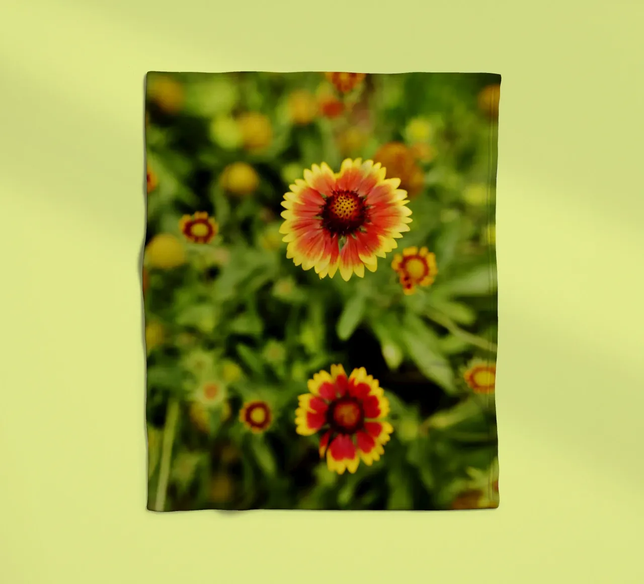 fiore d'arancio, Monaco di Baviera coperta in pile da art picture