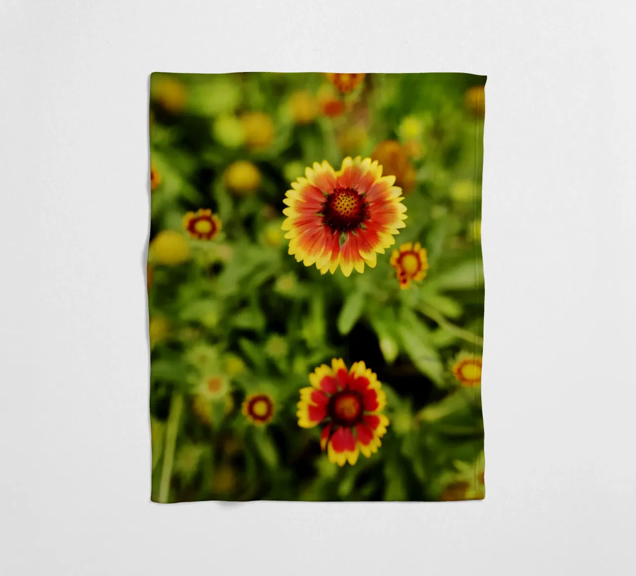 fiore d'arancio, Monaco di Baviera coperta in pile da art picture