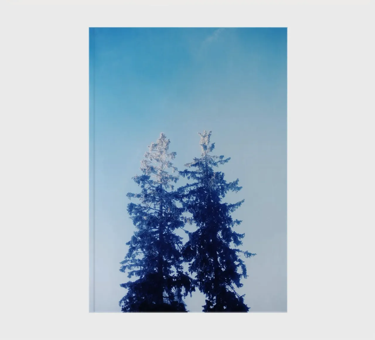 Fir trees in winter, Feldberg (Baden Württemberg) notebook by atmospheric pictures
