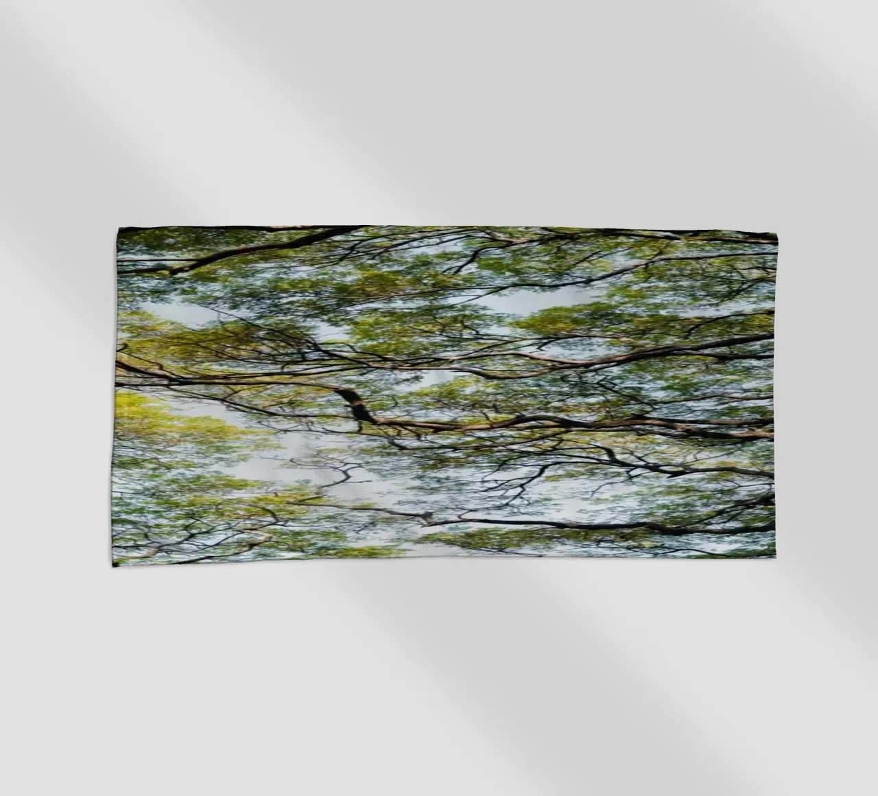 Trees in a forest in Sri Lanka telo mare da photolovers