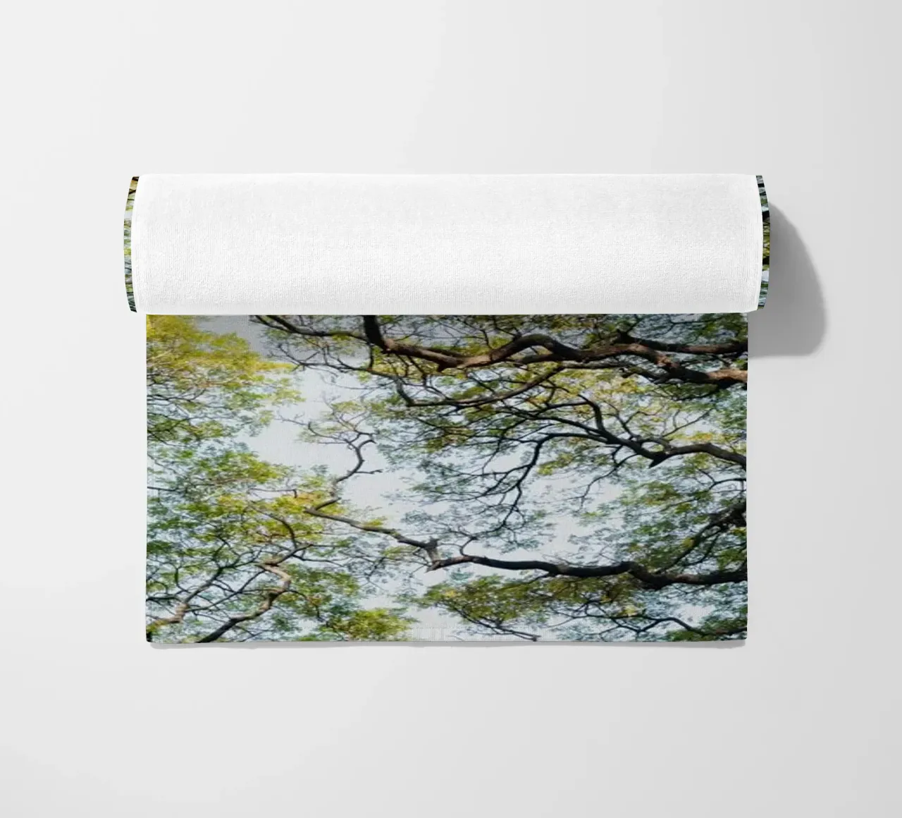 Trees in a forest in Sri Lanka telo mare da photolovers