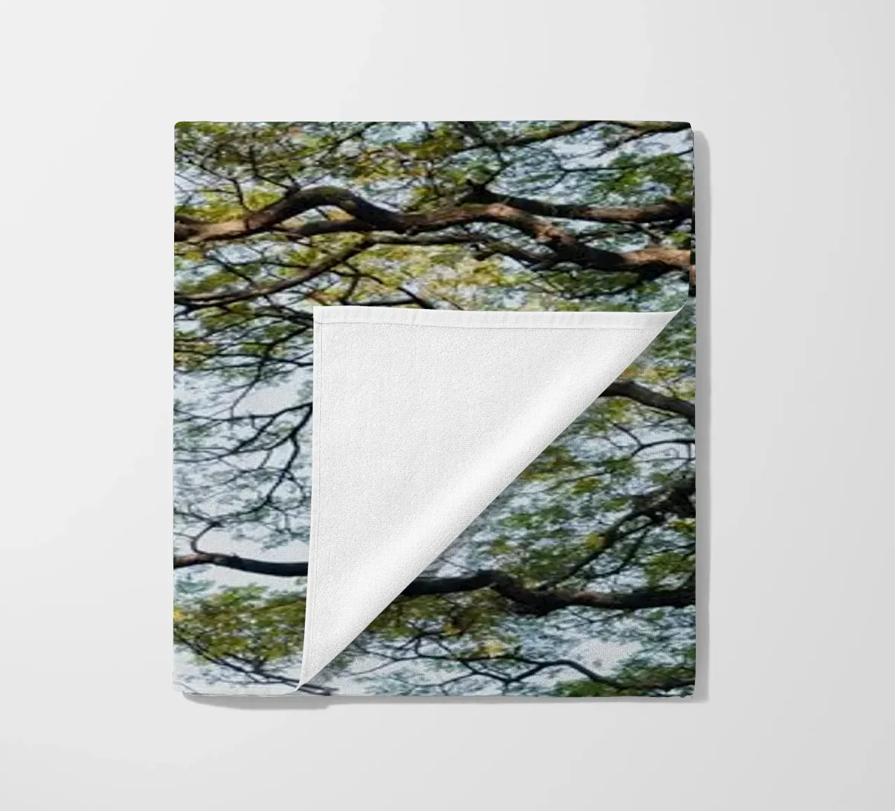 Trees in a forest in Sri Lanka telo mare da photolovers