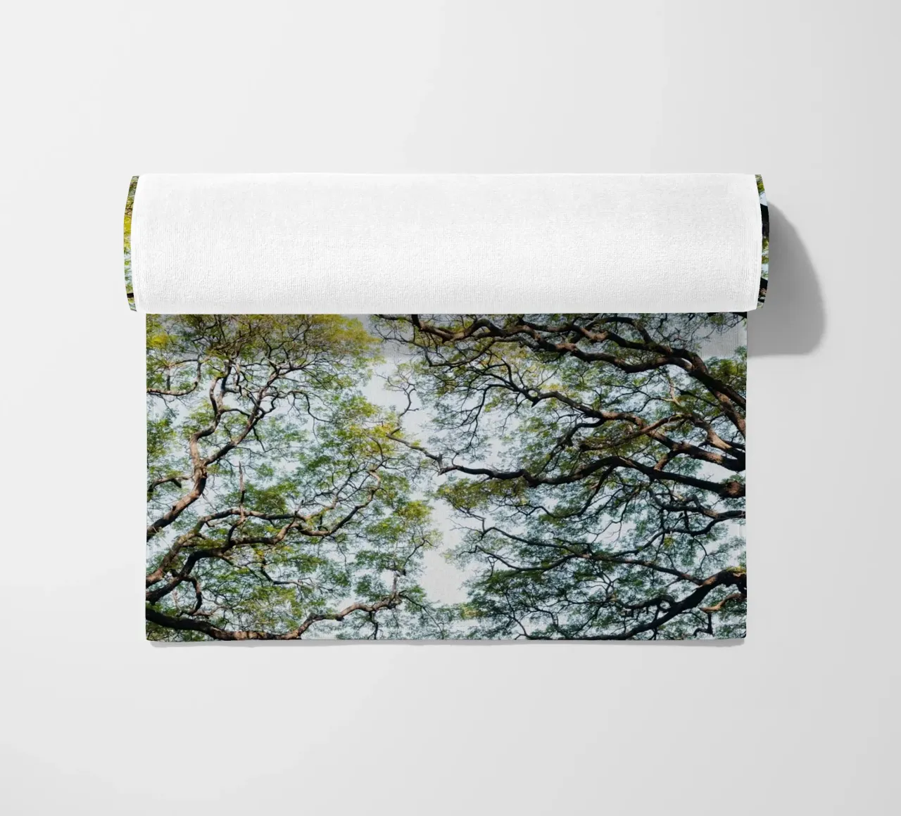 Trees in a forest in Sri Lanka telo mare da photolovers