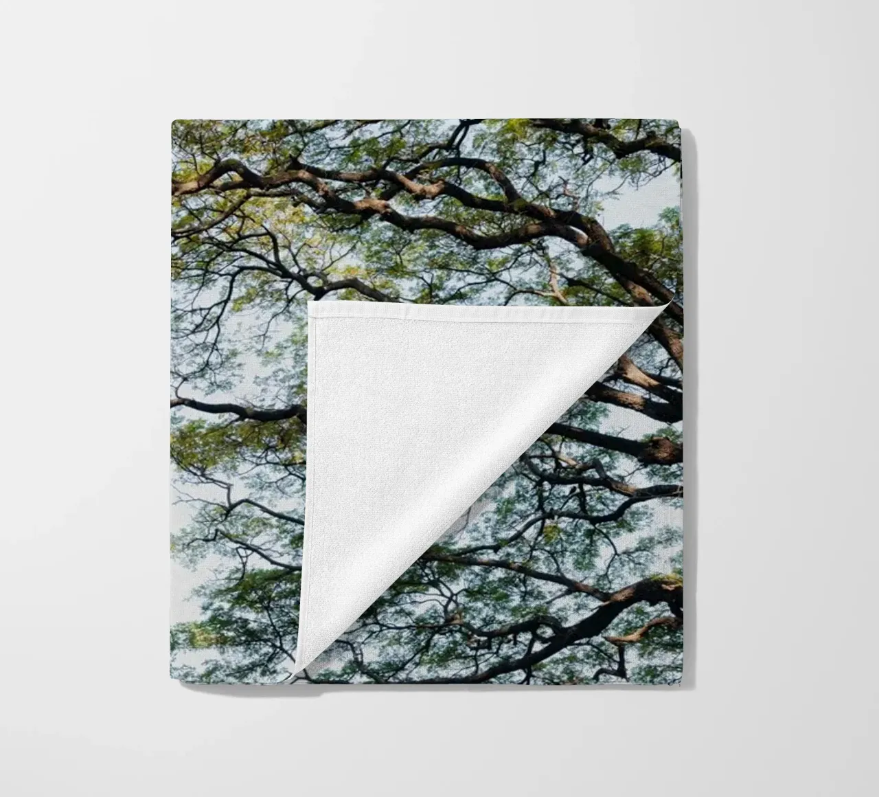 Trees in a forest in Sri Lanka telo mare da photolovers