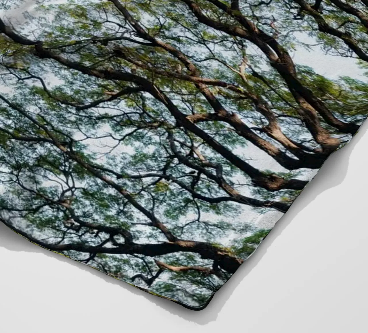 Trees in a forest in Sri Lanka Fleecedecke von photolovers