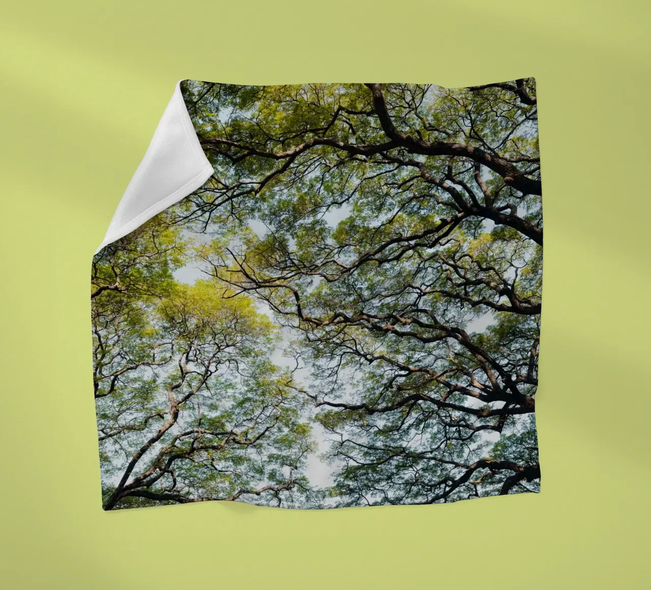 Trees in a forest in Sri Lanka Fleecedecke von photolovers