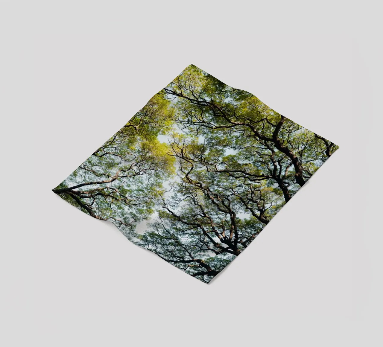 Trees in a forest in Sri Lanka Fleecedecke von photolovers