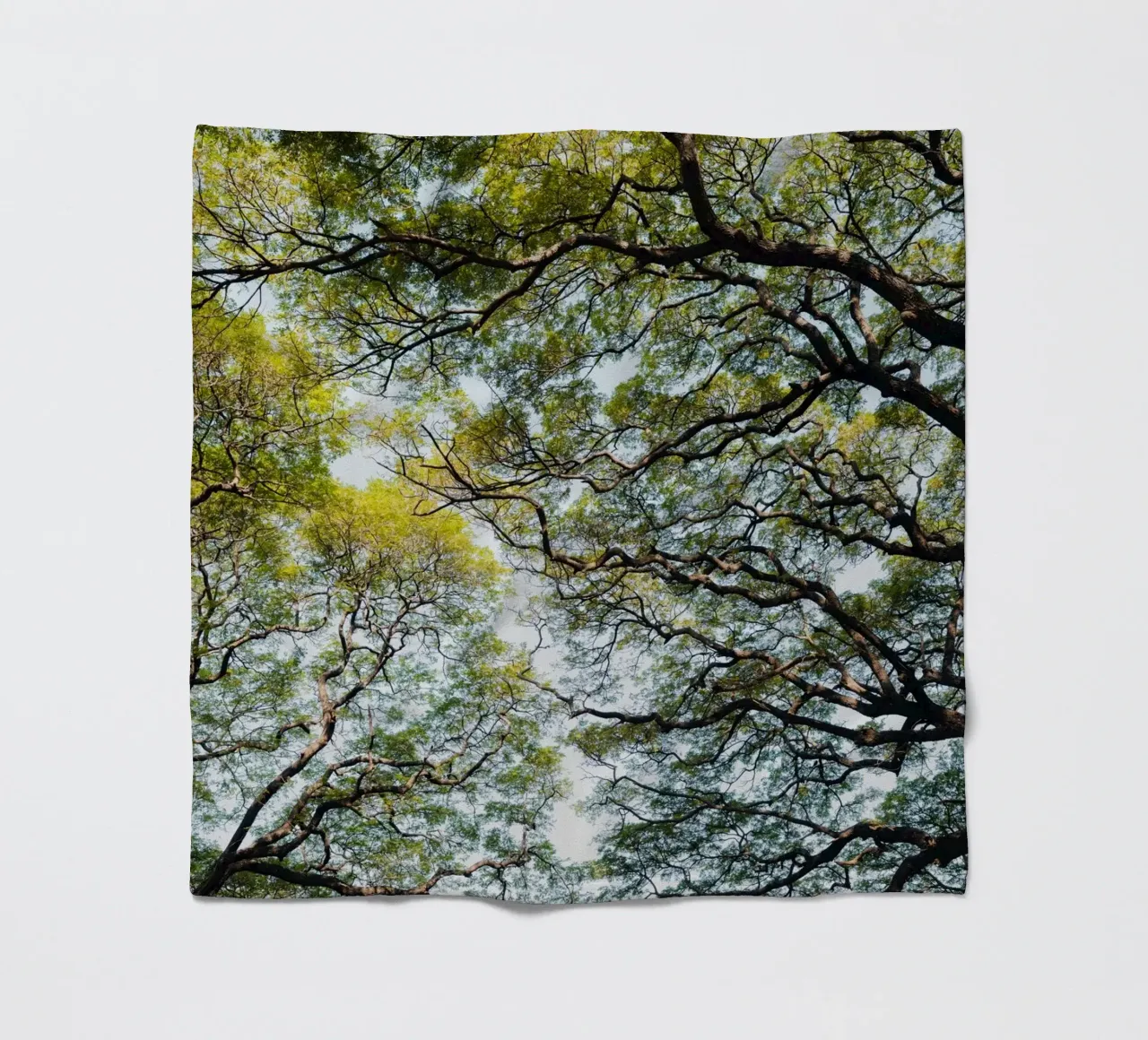 Trees in a forest in Sri Lanka Fleecedecke von photolovers