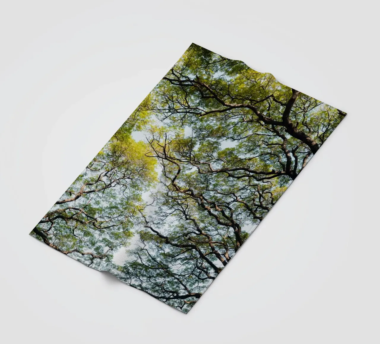 Trees in a forest in Sri Lanka Fleecedecke von photolovers