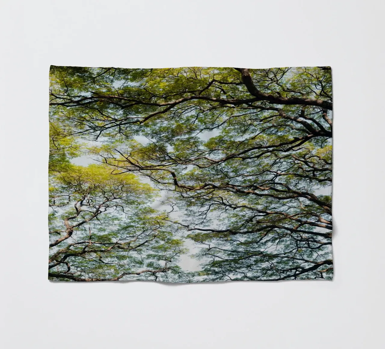 Trees in a forest in Sri Lanka Fleecedecke von photolovers