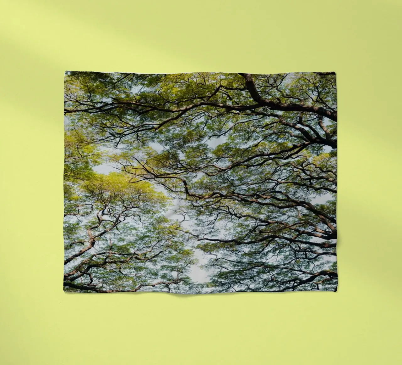 Trees in a forest in Sri Lanka Fleecedecke von photolovers