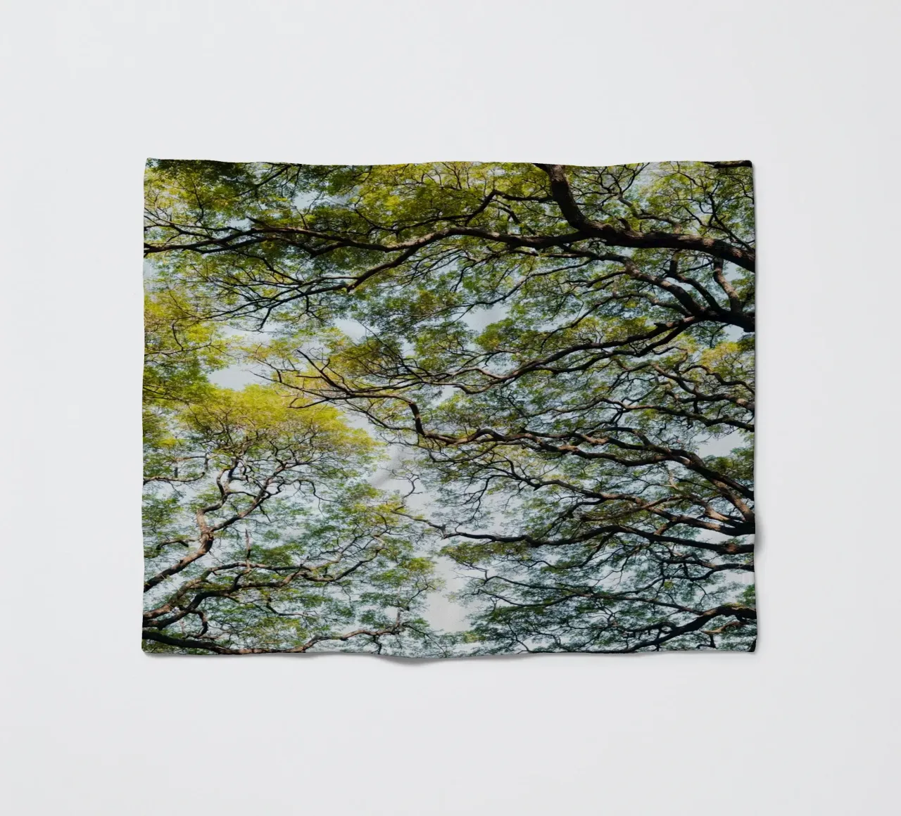 Trees in a forest in Sri Lanka Fleecedecke von photolovers