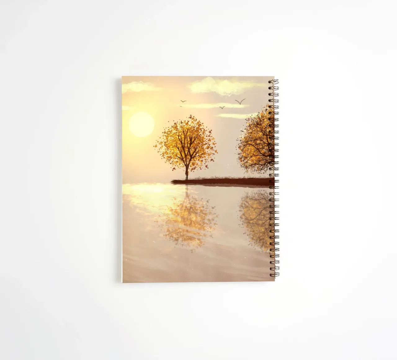 tree reflect in the sunlight diario ad anelli da scoten