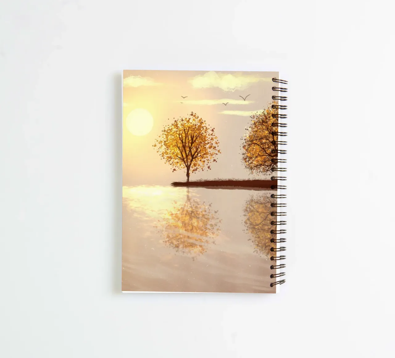 tree reflect in the sunlight diario ad anelli da scoten