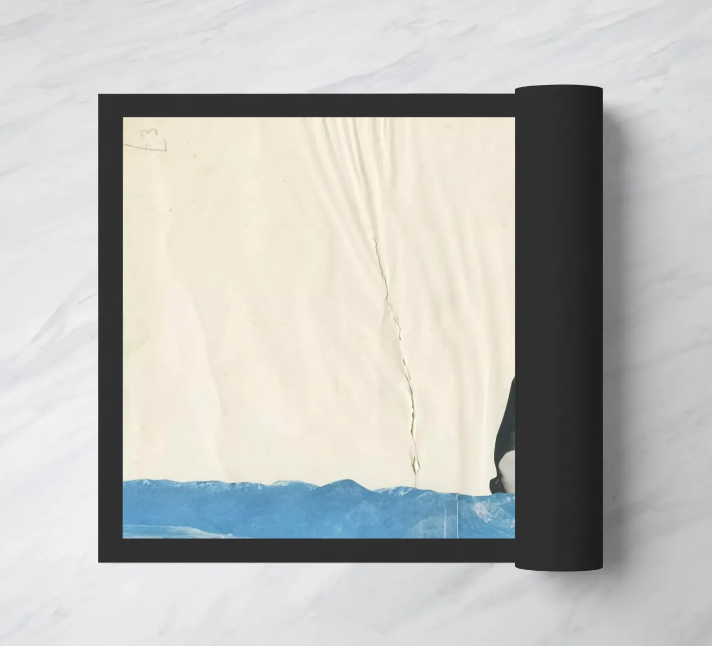 Plunge paillasson de Cassia Beck Collage