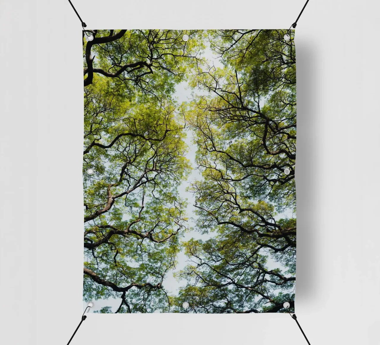 Trees in a botanical garden in Sri Lanka telo in pvc da photolovers