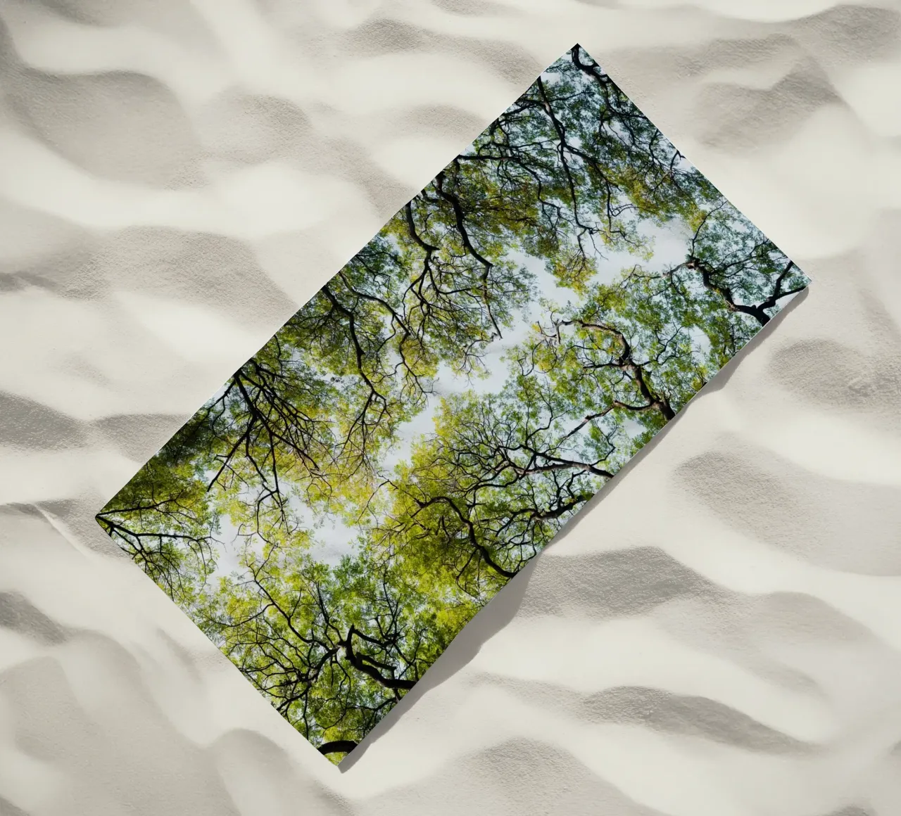 Trees in a botanical garden in Sri Lanka telo mare da photolovers