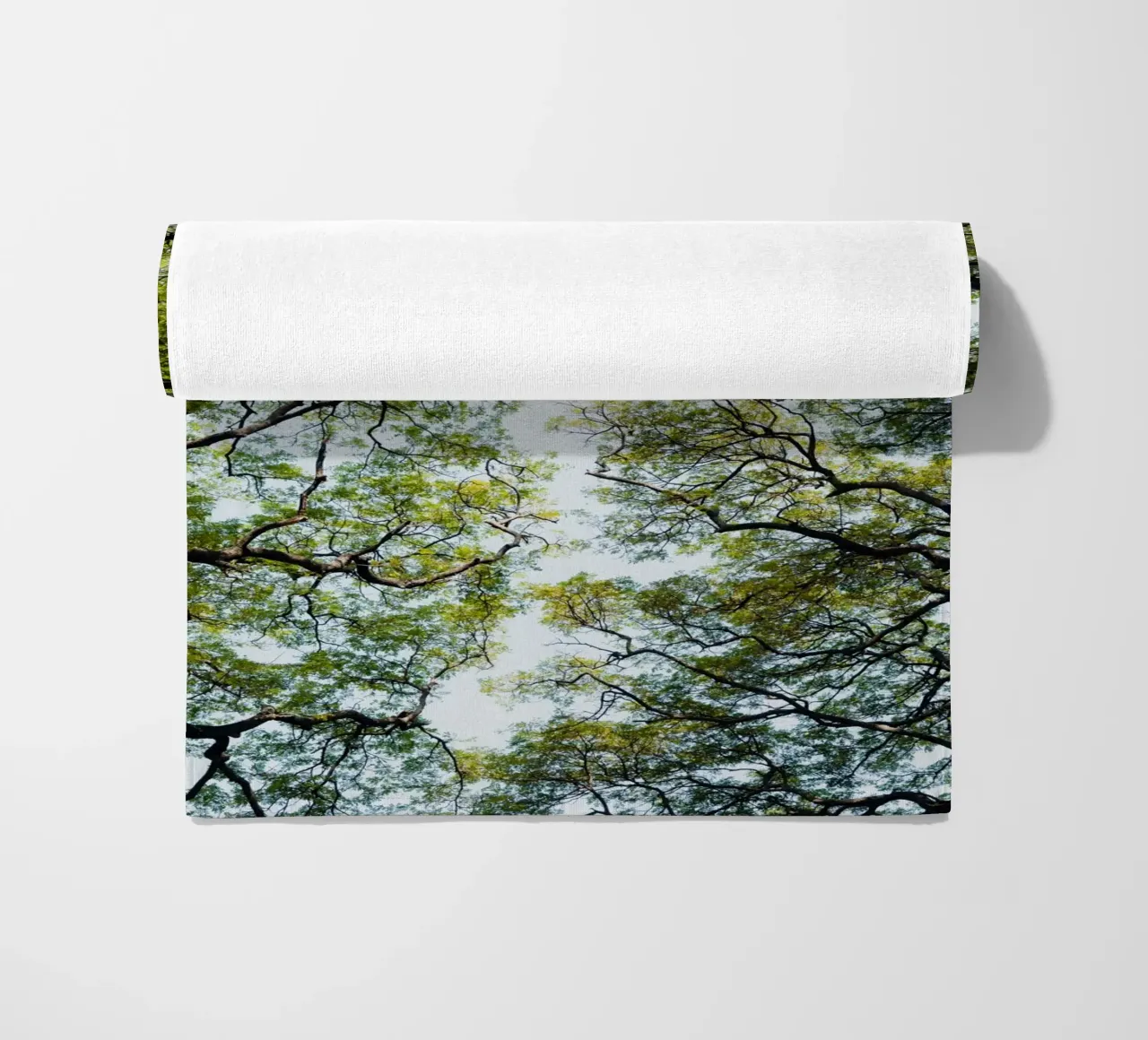 Trees in a botanical garden in Sri Lanka telo mare da photolovers