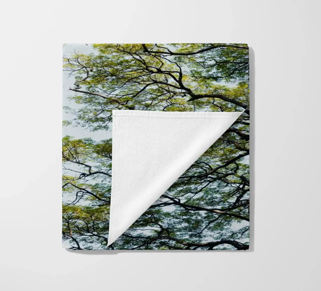 Trees in a botanical garden in Sri Lanka telo mare da photolovers