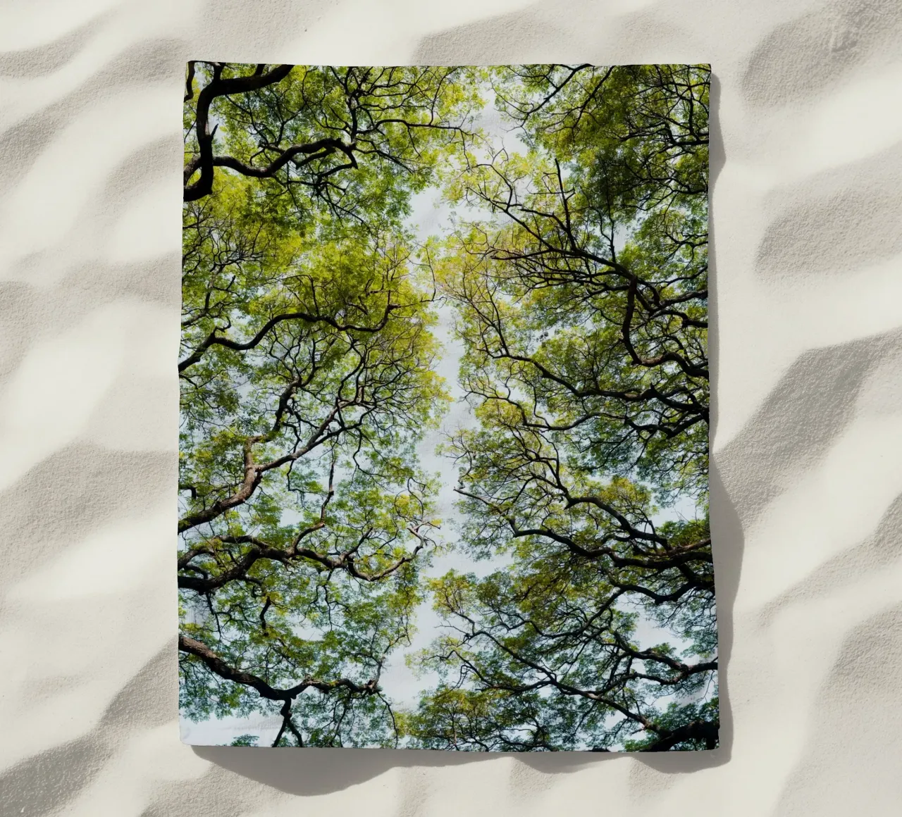 Trees in a botanical garden in Sri Lanka telo mare da photolovers