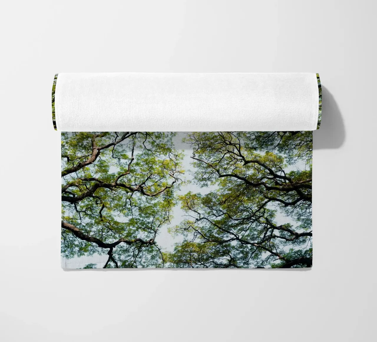 Trees in a botanical garden in Sri Lanka telo mare da photolovers