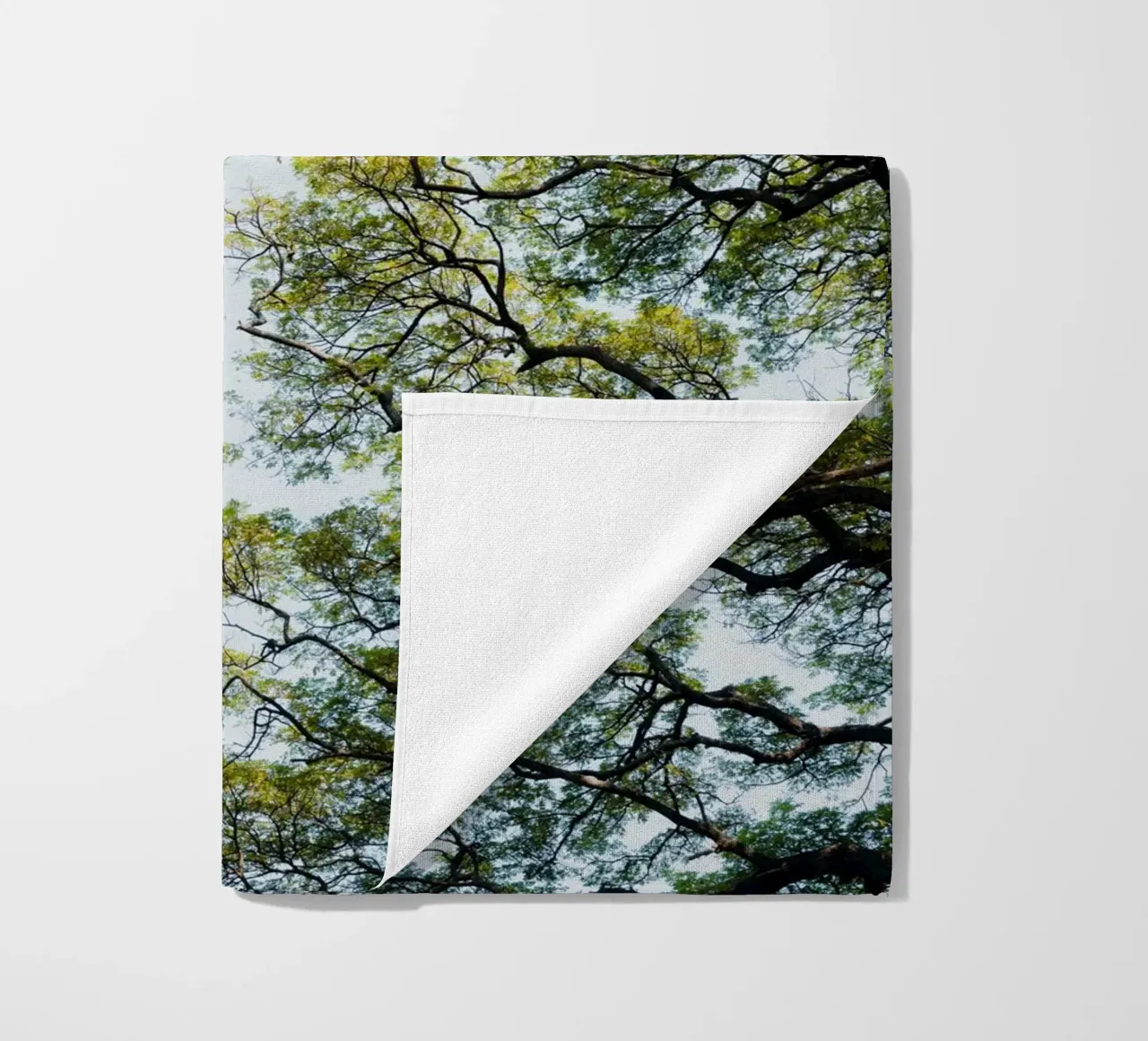 Trees in a botanical garden in Sri Lanka telo mare da photolovers