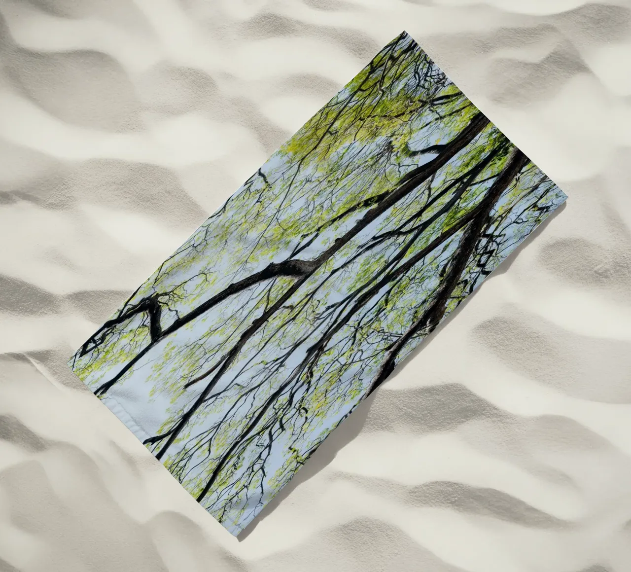 Tree in a botanical garden in Sri Lanka telo mare da photolovers