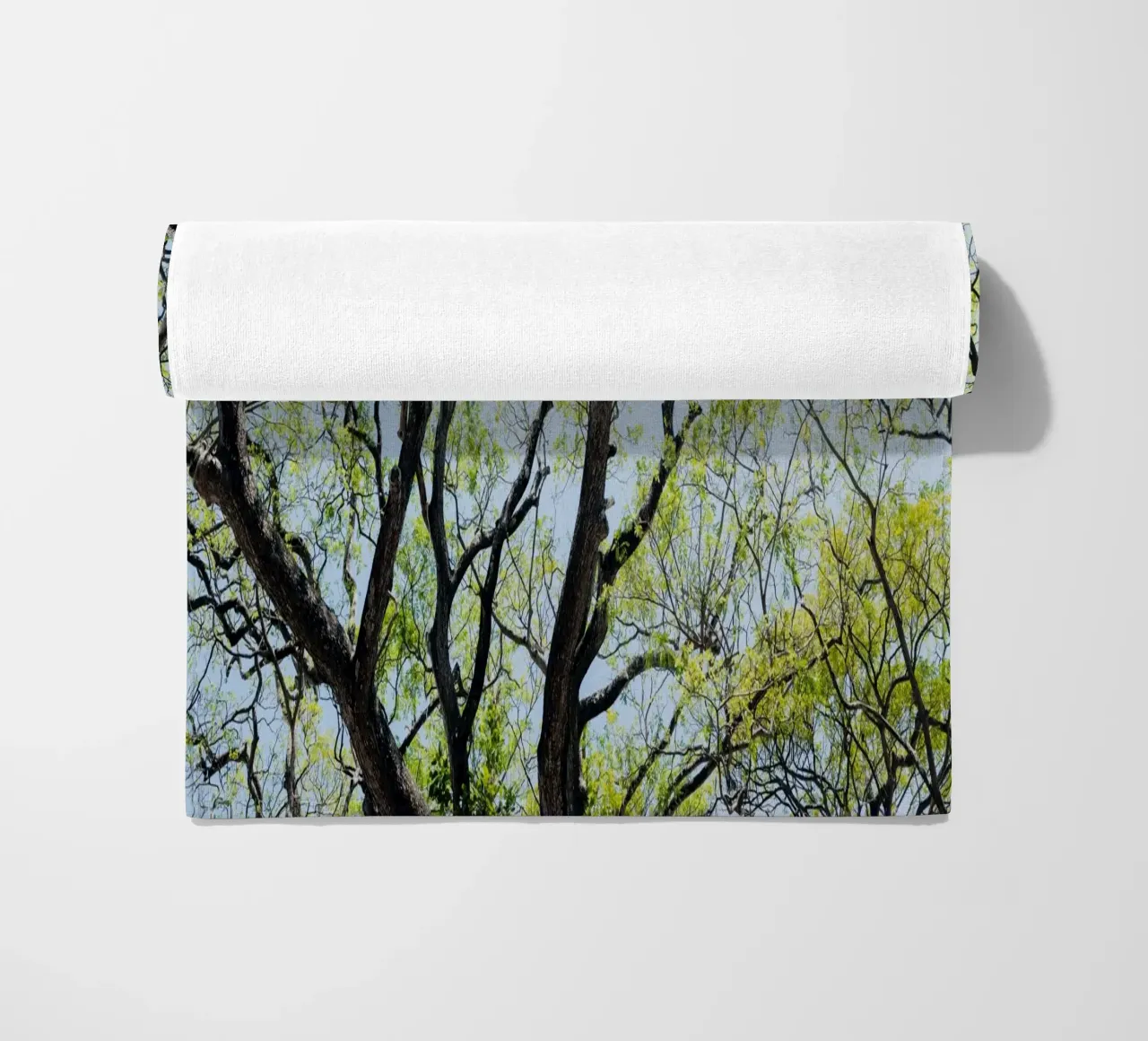 Tree in a botanical garden in Sri Lanka telo mare da photolovers