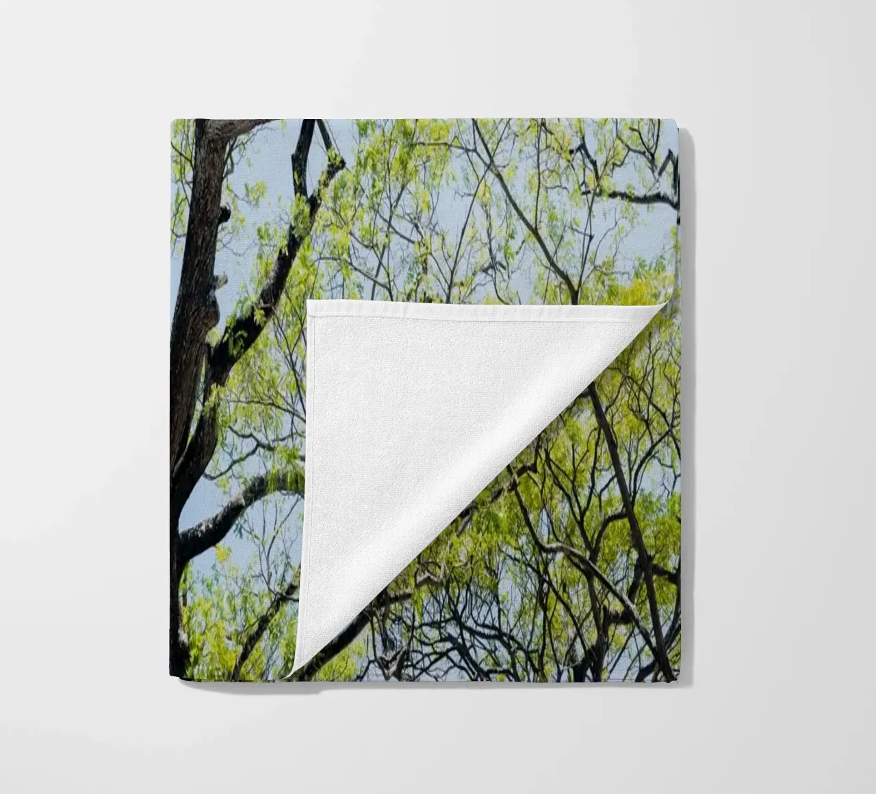 Tree in a botanical garden in Sri Lanka telo mare da photolovers