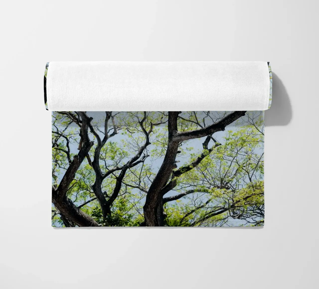 Tree in a botanical garden in Sri Lanka telo mare da photolovers