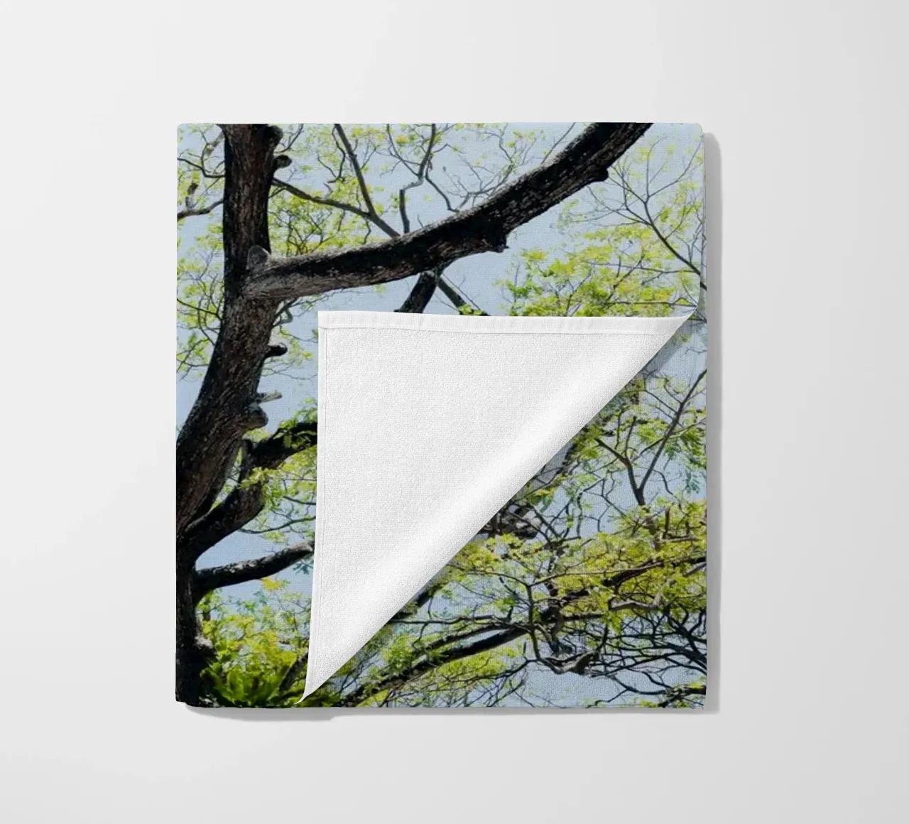 Tree in a botanical garden in Sri Lanka telo mare da photolovers