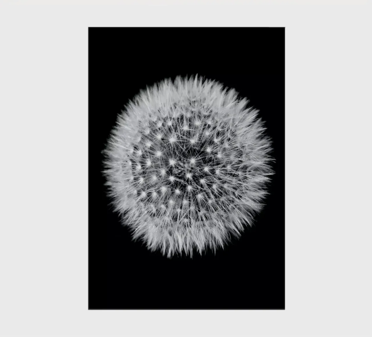 Pusteblume (Löwenzahn) notebook by Fjöllart