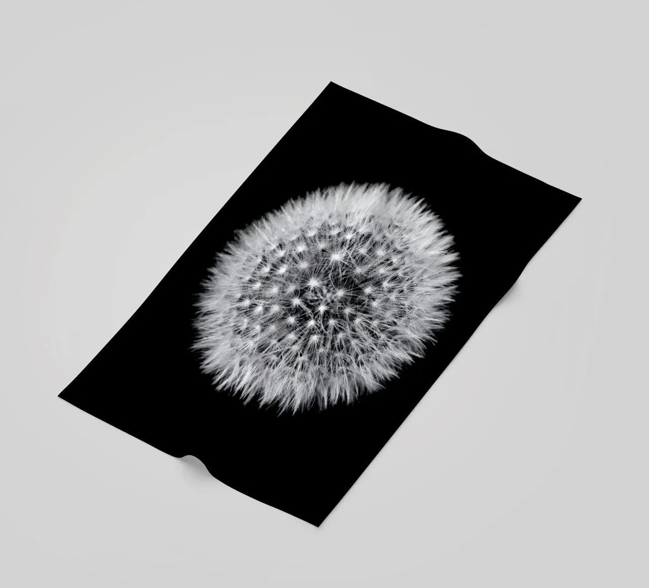 Pusteblume (Löwenzahn) telo mare da Fjöllart