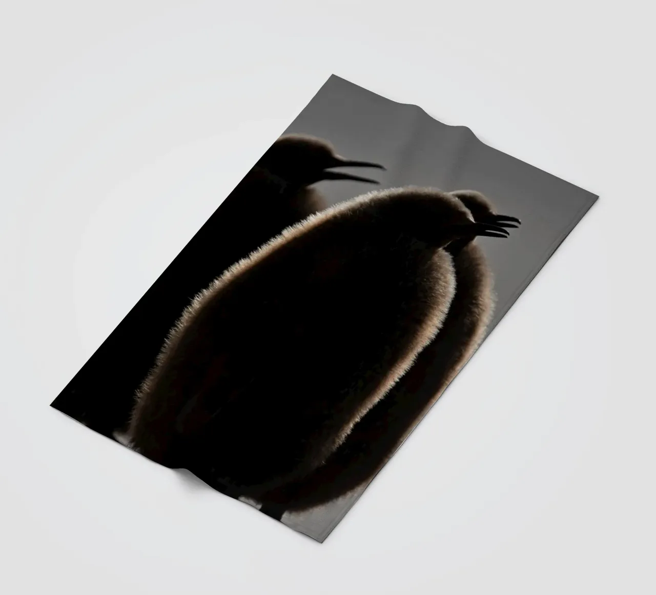 Soffici cuccioli di pinguino reale sulla spiaggia coperta in pile da DiveDuke