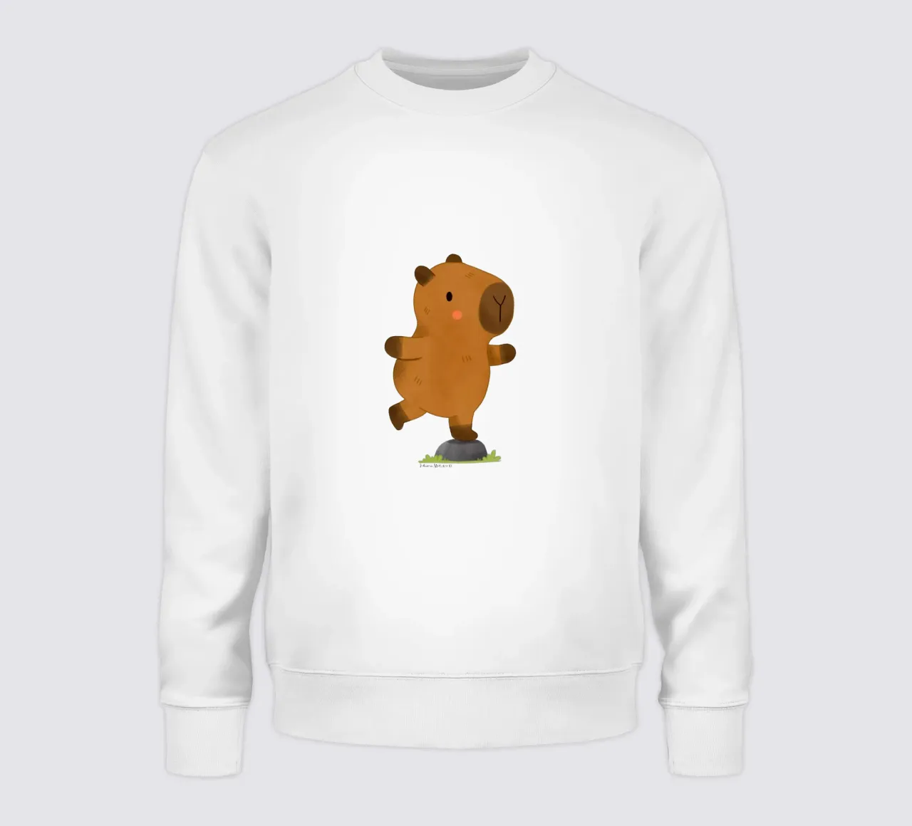 Bilanciamento del capibara felpa da julianamotzko