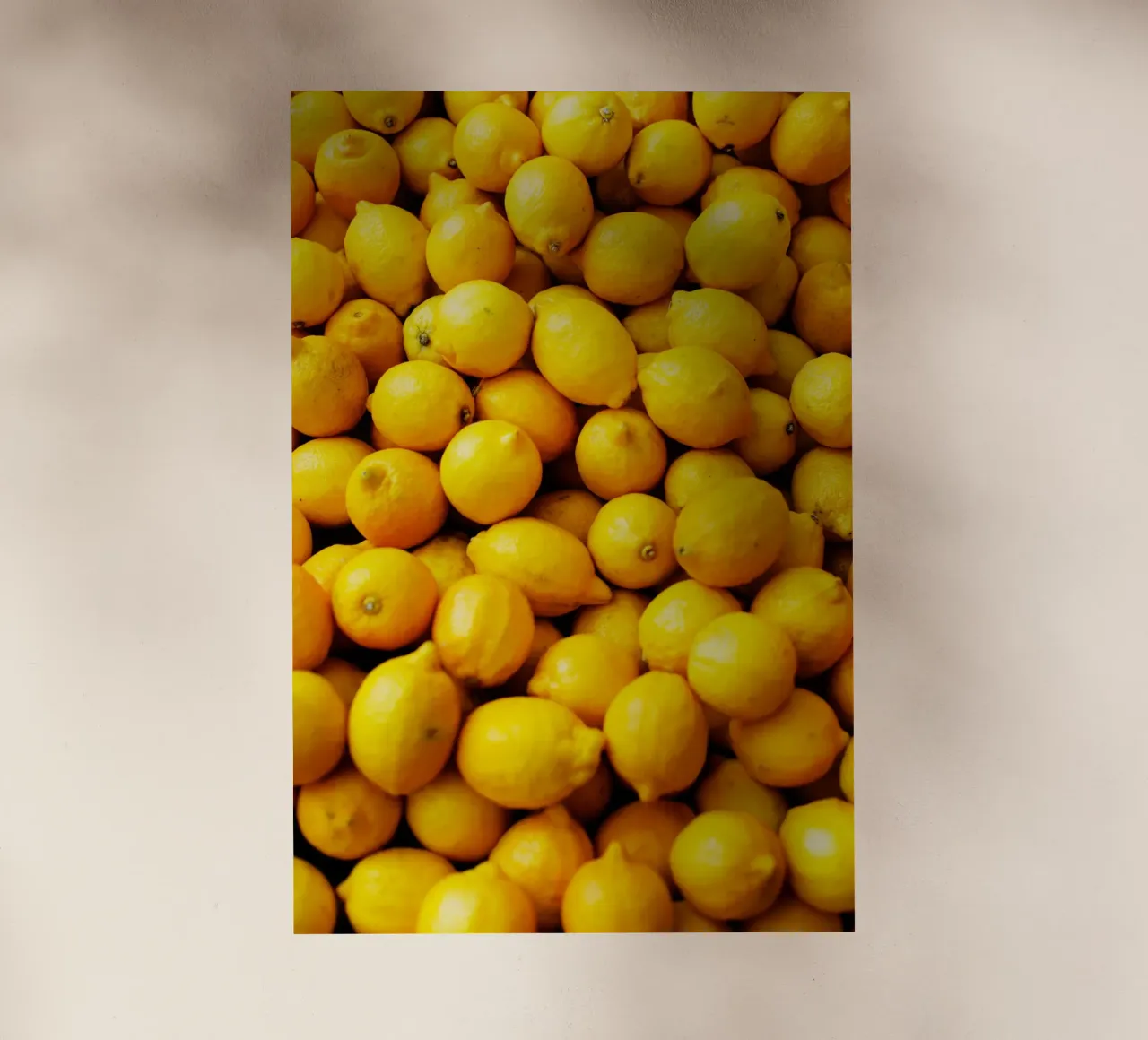 Limoni di Berlino pellicola backlit da art picture