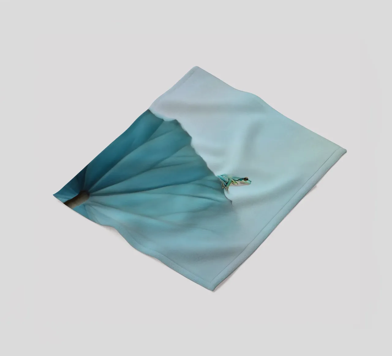 Rana in equilibrio coperta in pile da Carina Pop & Pastell