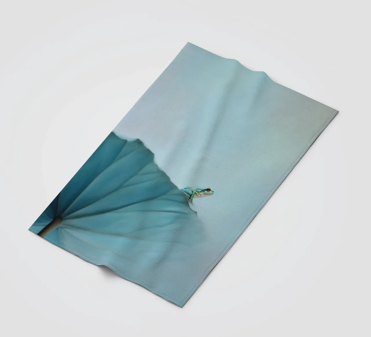 Rana in equilibrio coperta in pile da Carina Pop & Pastell