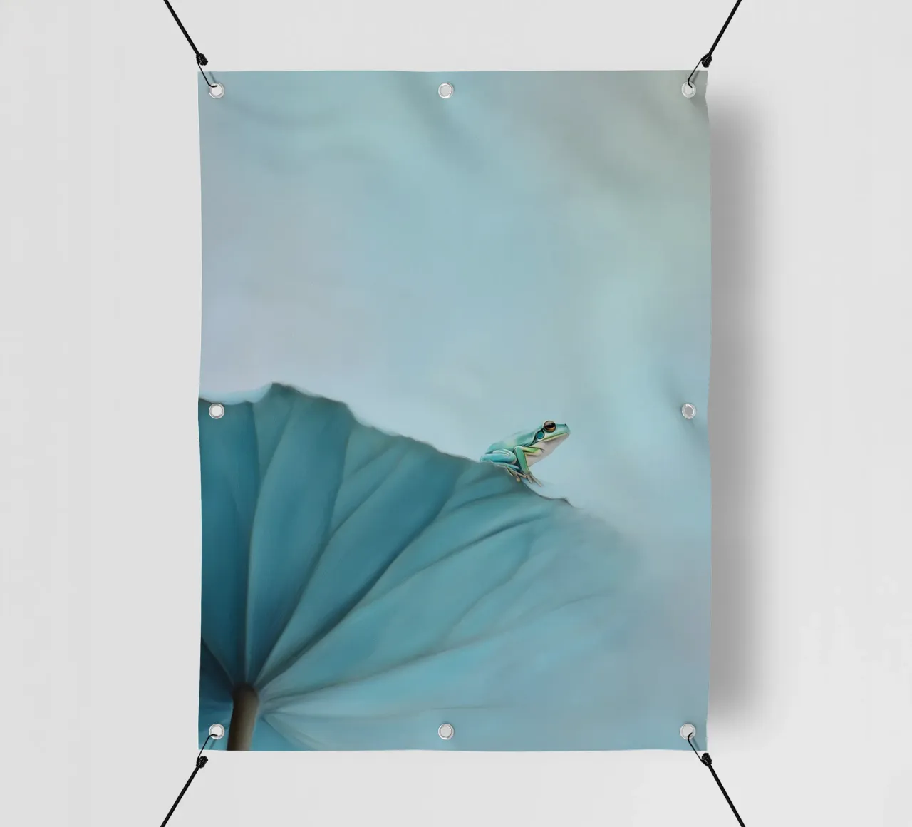 Rana in equilibrio telo in pvc da Carina Pop & Pastell