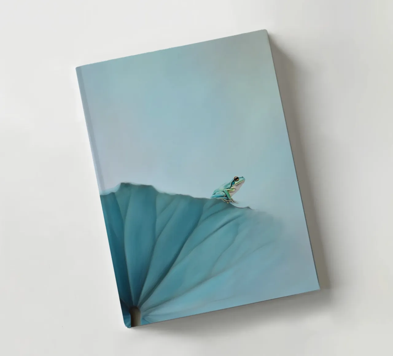 Frog in balance notebook by Carina Pop & Pastell