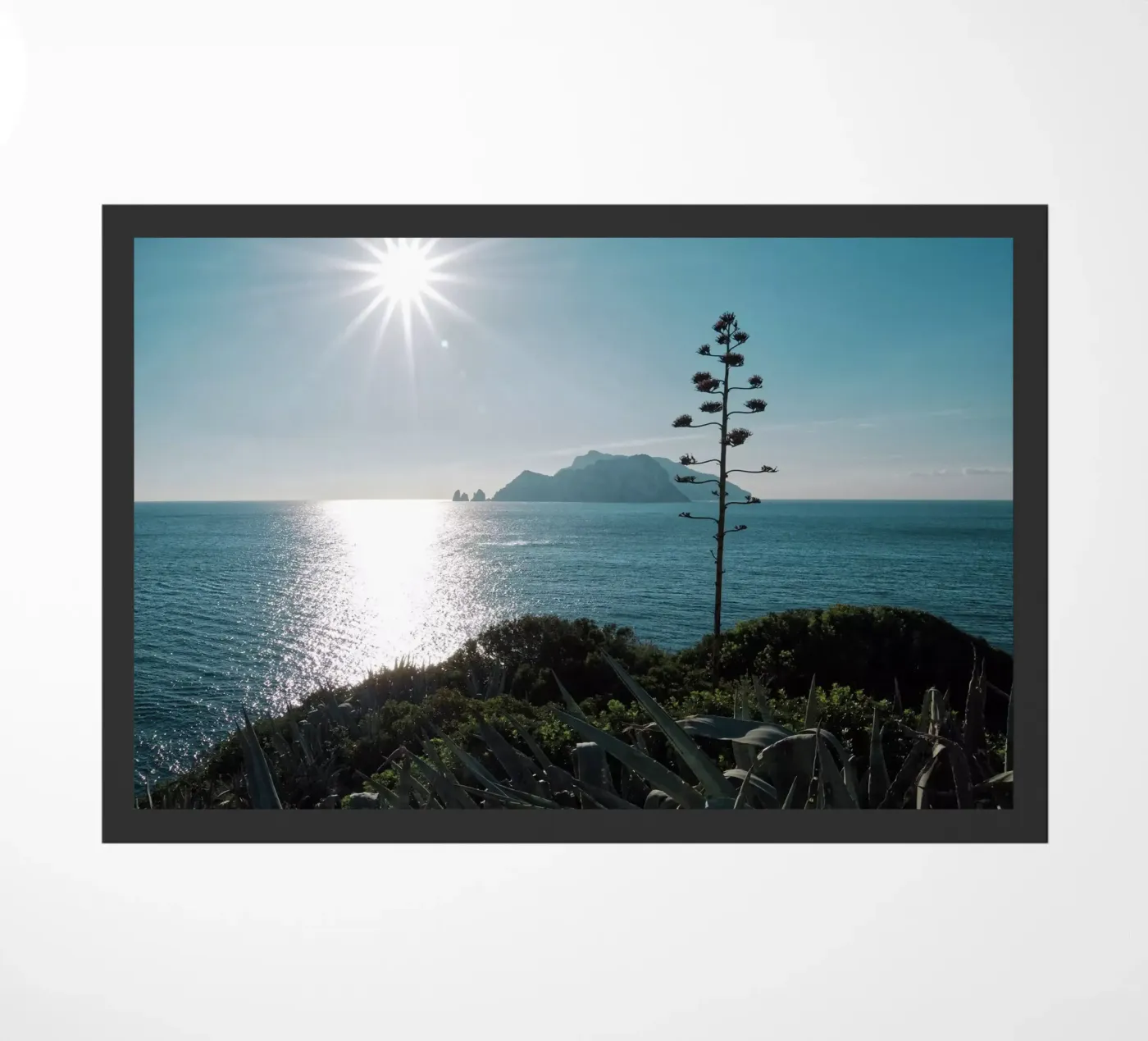 View to Capri zerbino da Fjöllart