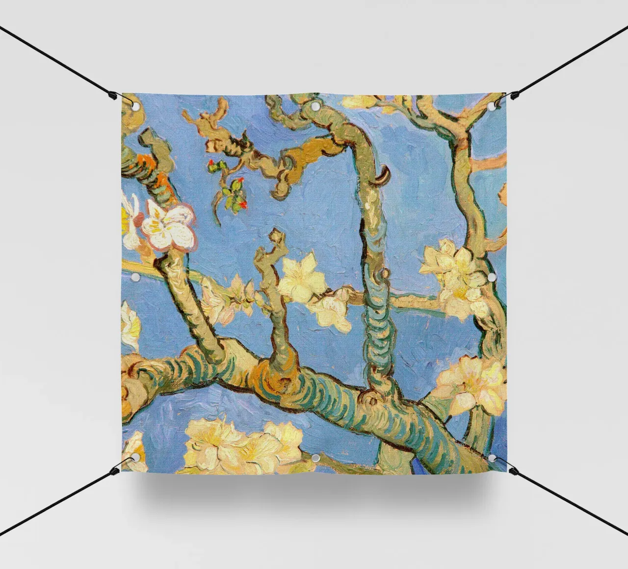 Dettaglio del mandorlo in fiore telo in pvc da Roy Terrell