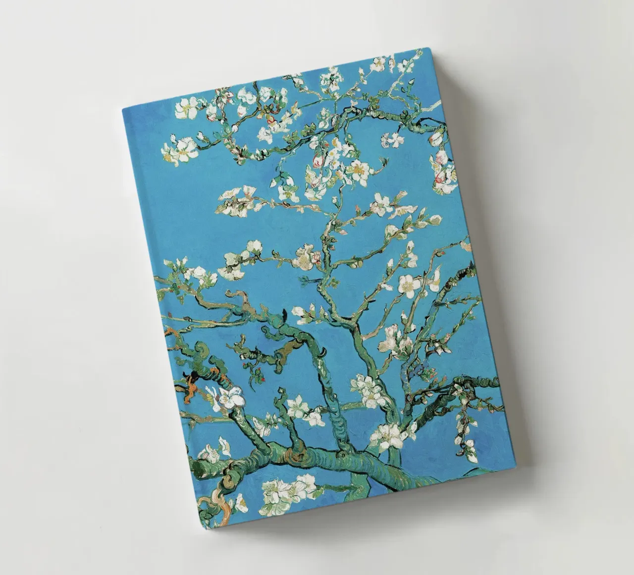 Mandorlo in fiore, 1890 ll diario da Roy Terrell