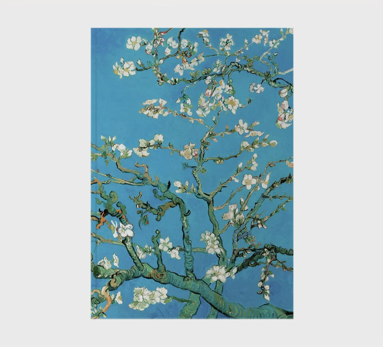 Mandorlo in fiore, 1890 ll diario da Roy Terrell