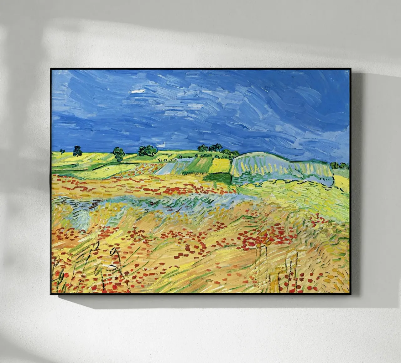 Campi con papaveri in fiore plexiglass da Roy Terrell