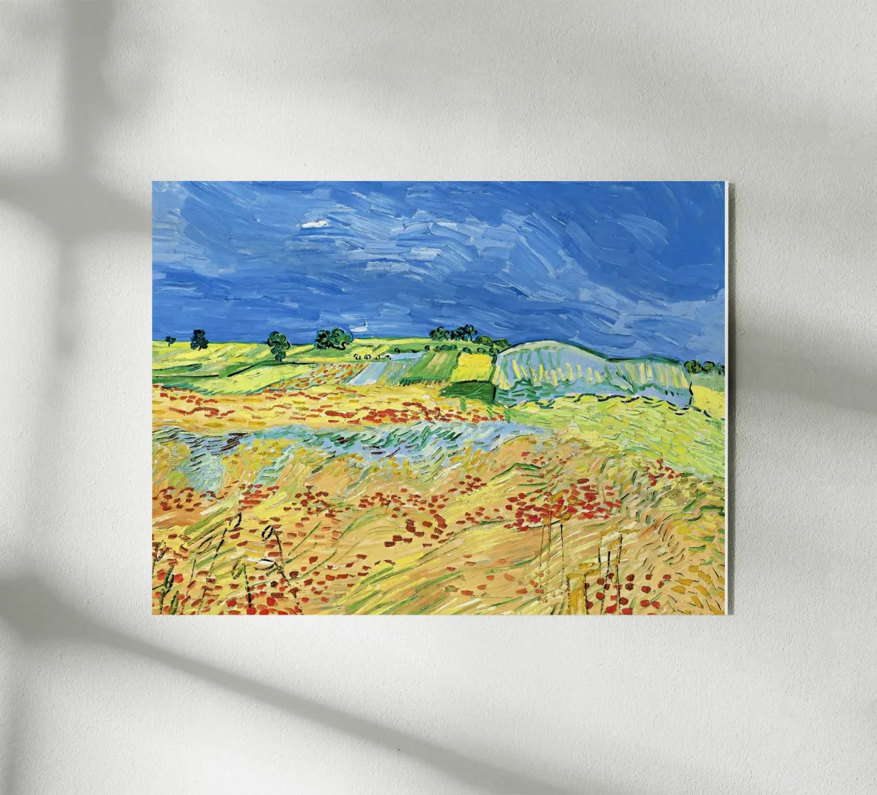 Campi con papaveri in fiore plexiglass da Roy Terrell
